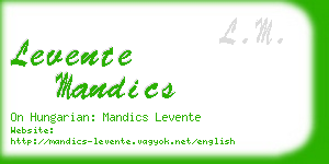 levente mandics business card